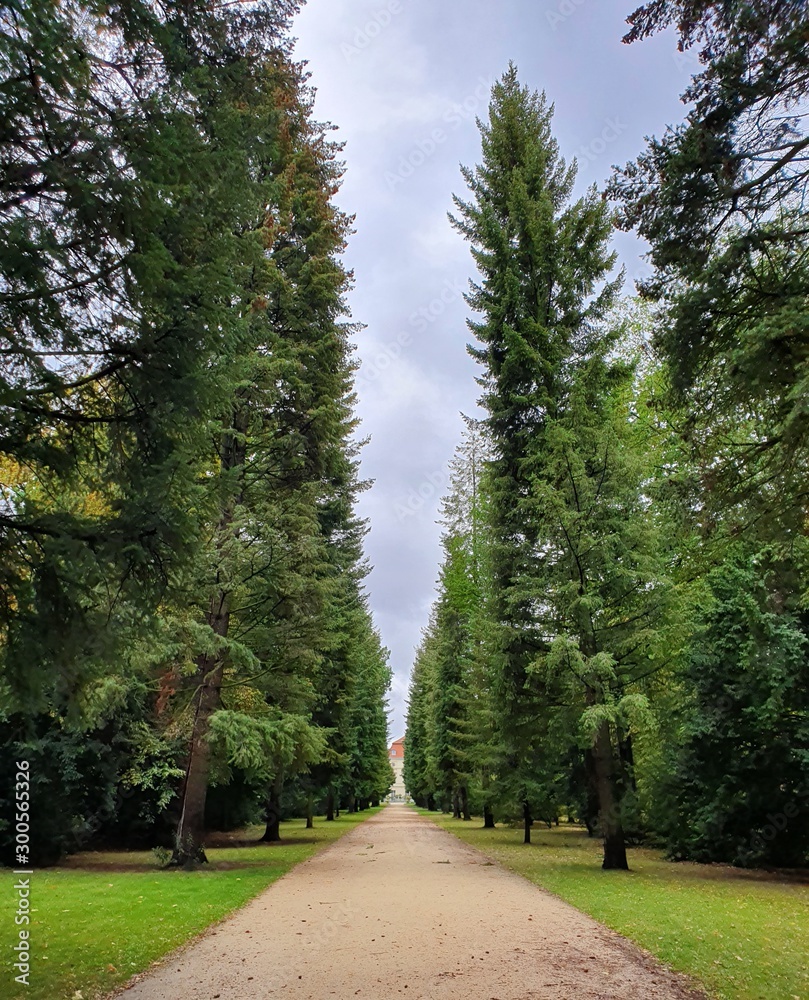 Walkway path in the park