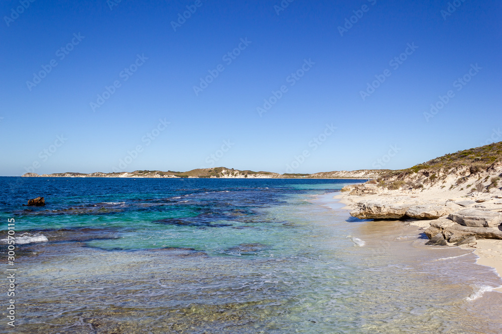 Fototapeta premium Salmon Bay on Rottnest Island with its vibrant blue waters perfect for snorkelling, Rottnest Island, Australia