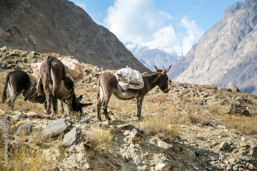 Beautiful landscape view from mountain in Pakistan