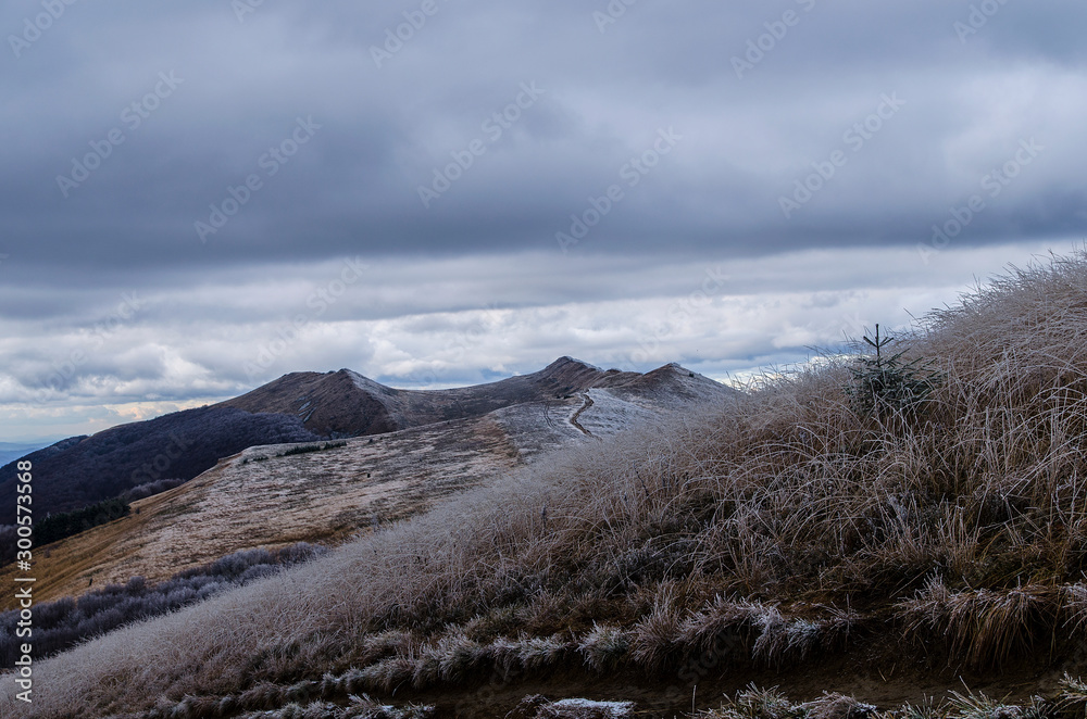 Osadzki - Roh bieszczady Osadzki - Roh bieszczady