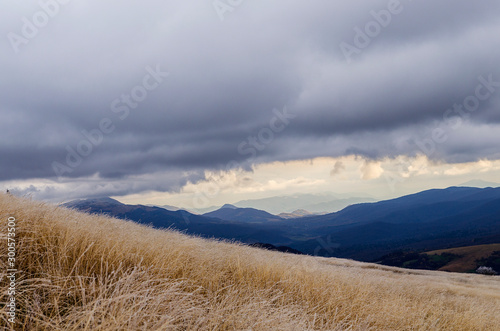 Fototapeta Naklejka Na Ścianę i Meble -  bieszczady połonina Caryńska