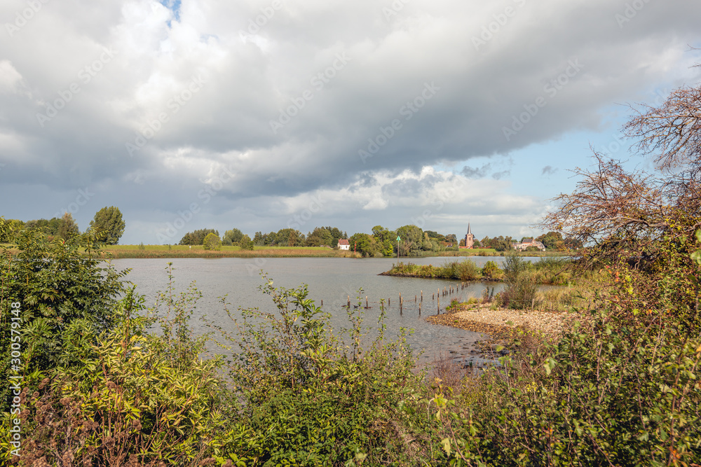 Shrubs on the bank of the Dutch river Lek