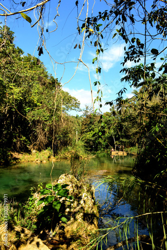 lake in rainforest