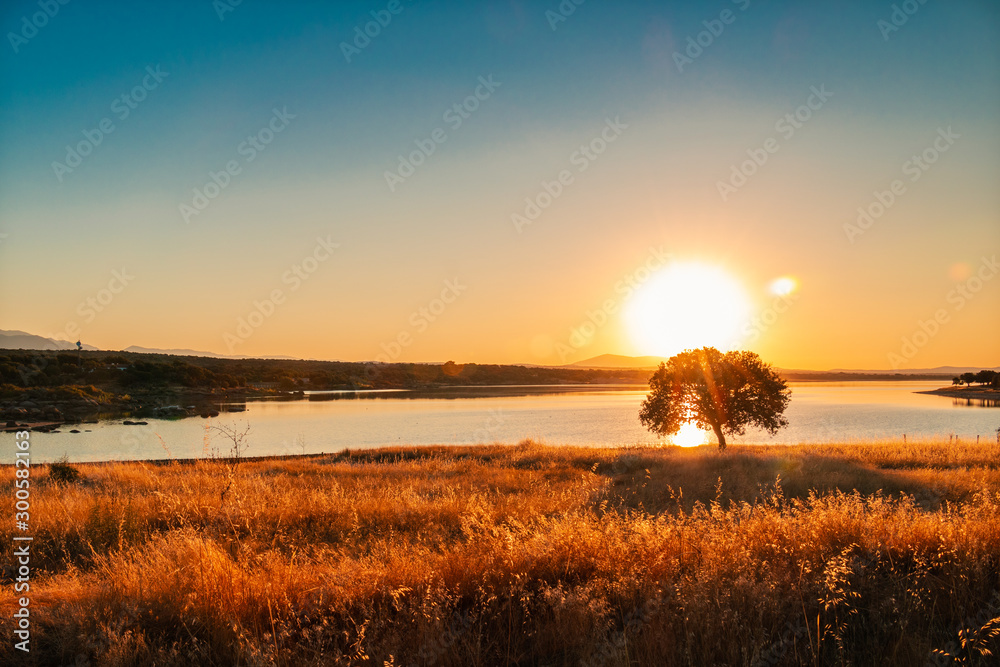 Árbol al amanecer en el embalse Árbol al amanecer en el embalse