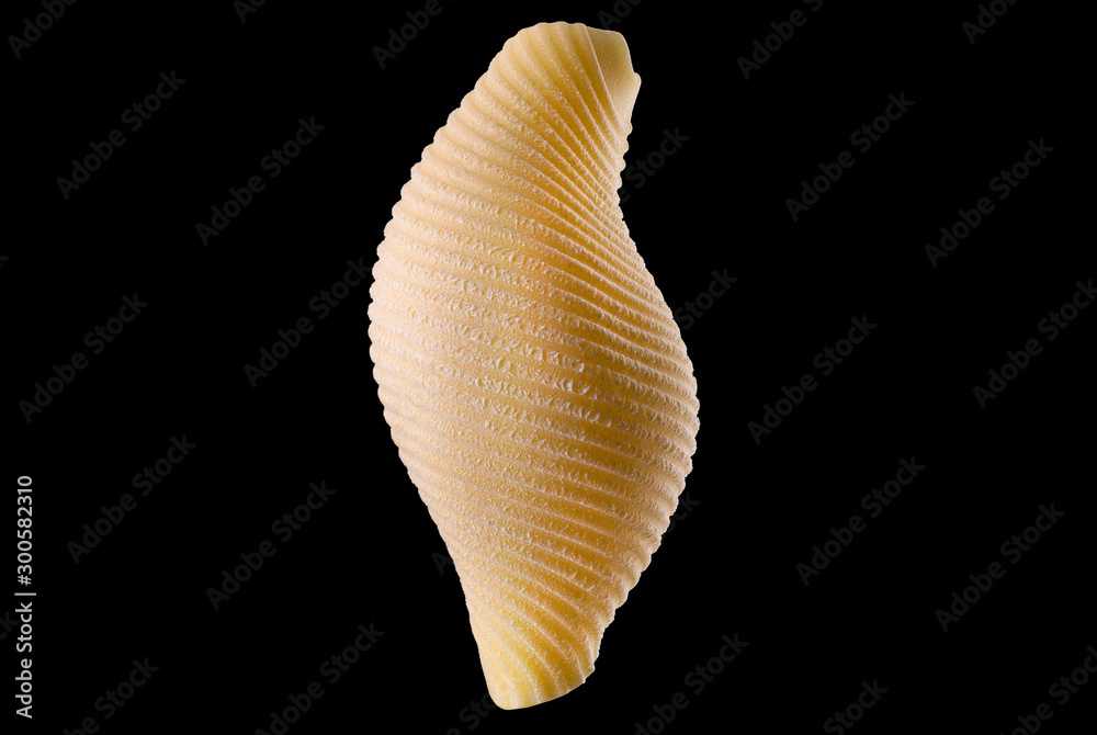 Macro photo of conchiglie pasta shell isolated on black background - obrazy, fototapety, plakaty 