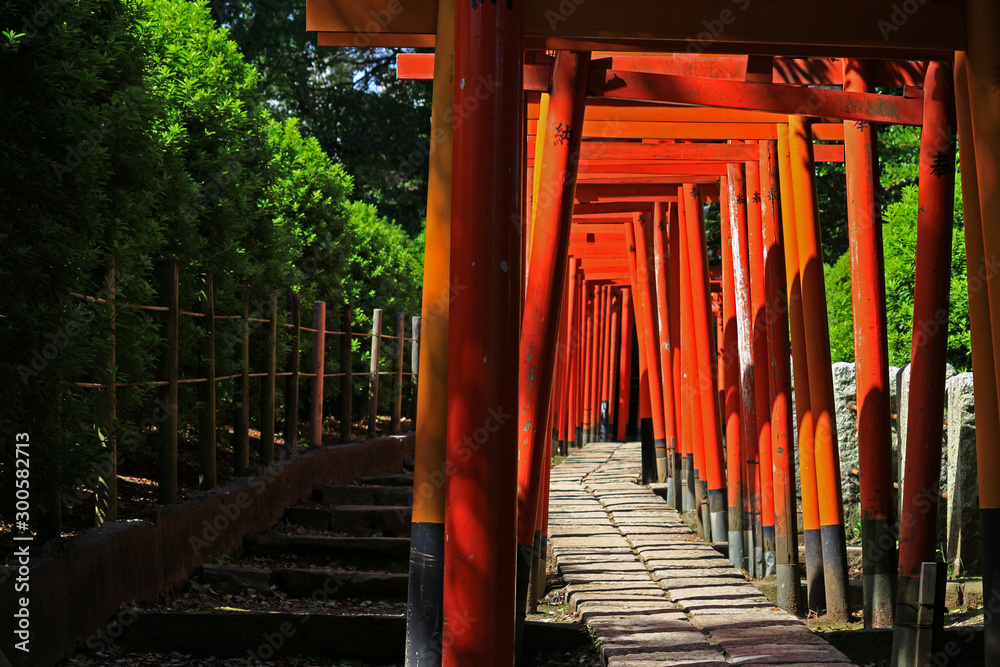 A shrine approach made up of many vibrant scarlet torii gates