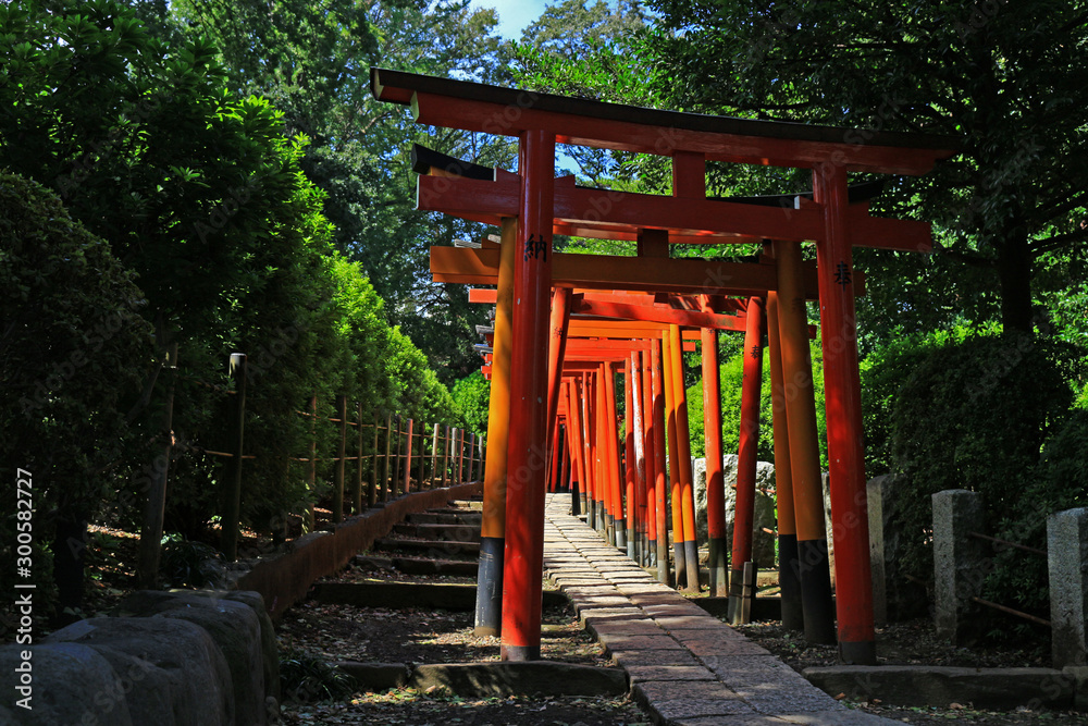 A shrine approach made up of many vibrant scarlet torii gates