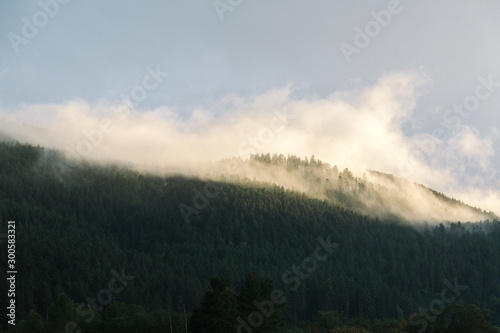 fog in the mountains