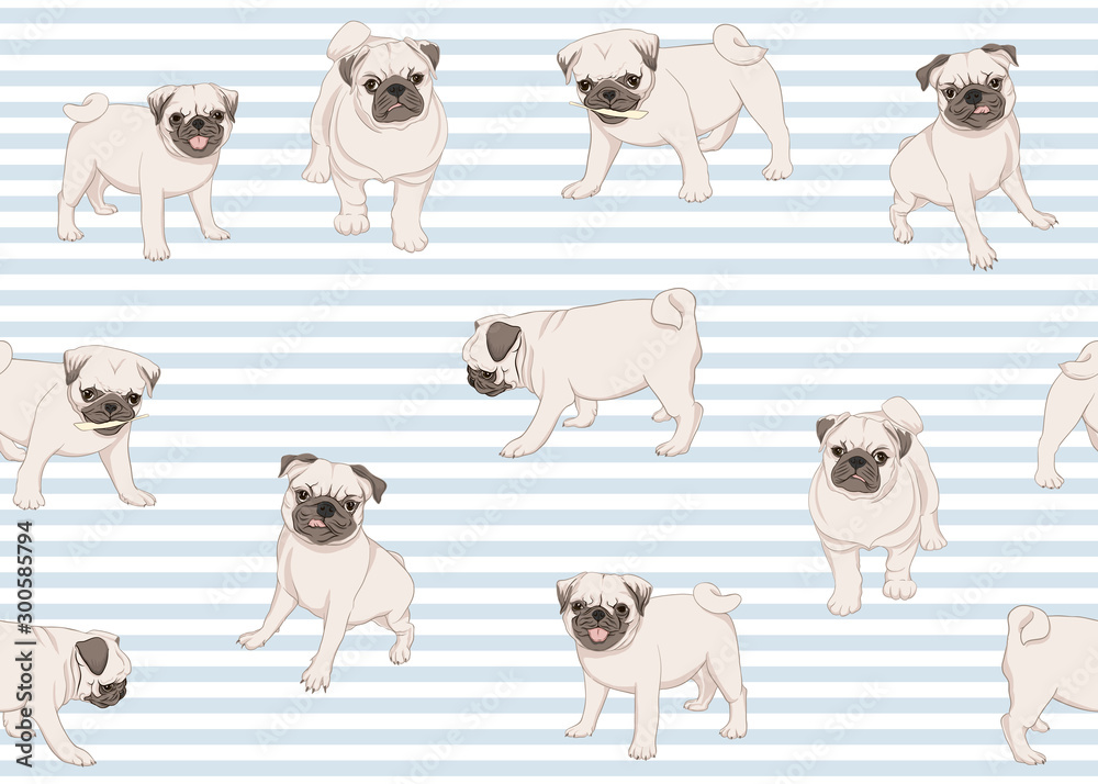 Seamless pattern, background with pug dogs. Colored design. Vector illustration. On blue and white stripes background.