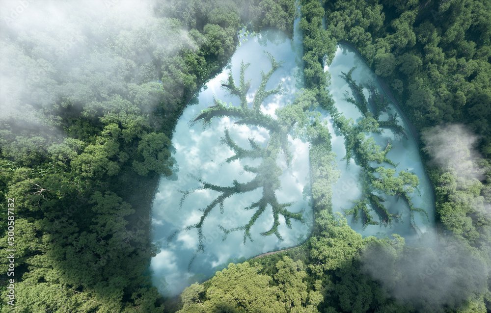 Green lungs of planet Earth. 3d rendering of a clean lake in a shape of 