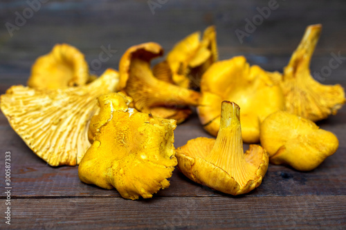 Mushrooms (Cantharellus cibarius ) on wooden background. photo