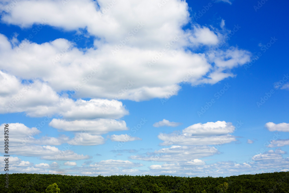 Fototapeta premium The blue sky is full of beautiful white clouds.