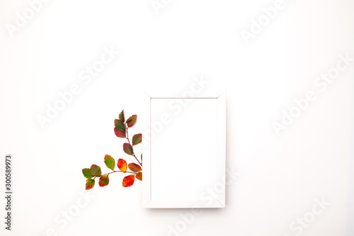Autumn background with natural decor. White photo frame, autumn dried leaves. Flat lay, top view. Copy space for seasonal promotions and discounts