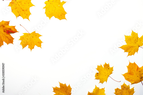 Frame made of beautiful autumn dried leaves on white background. Fall concept. Autumn background. Flat lay, top view, copy space