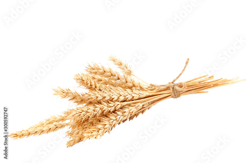 Sheaf of wheat ears isolated on a white background photo