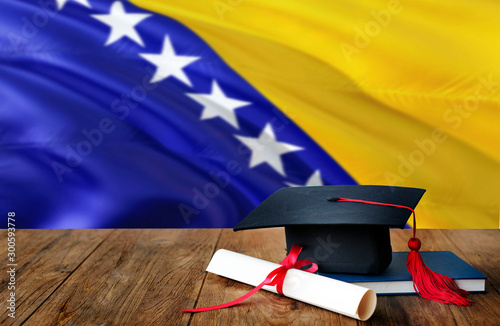 Quadro su tela Bosnia Herzegovina education concept