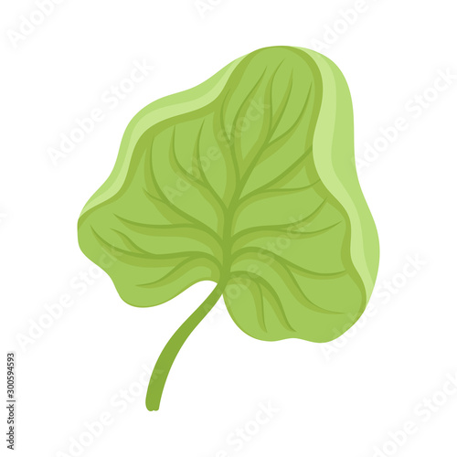 Waterlily Sepal With Leaf Venetion Flower Part Vector Illustration