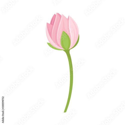 Semi-closed Waterlily Bud With Pink Petals and Floral Stem Vector Illustration