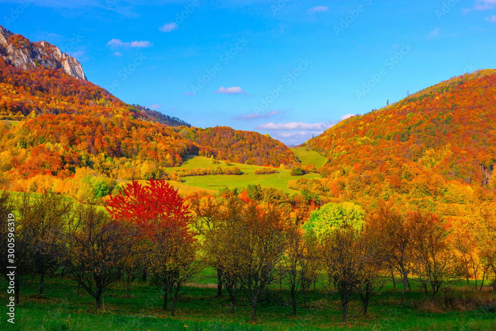 Sunny autumn day in mountain landscape. Colorful leaves of trees and clear blue sky. Mountain Vrsatec, Slovakia.