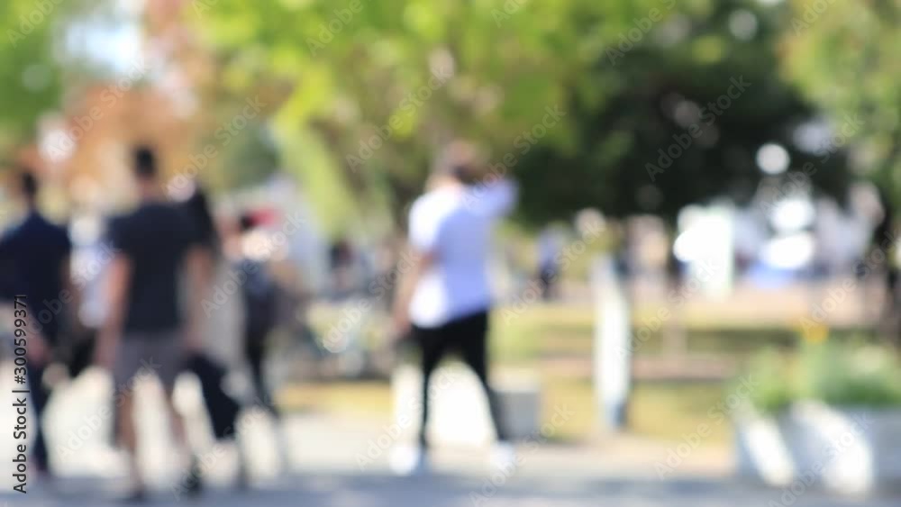 Blurred View of Odaiba Street and Pedestrian Blurred View of Odaiba Street and Pedestrian