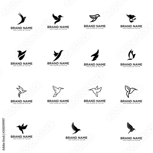 set bird logo design vector template white background