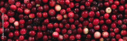 Photos Background of red lingonberry. View from above. Panorama. Long.