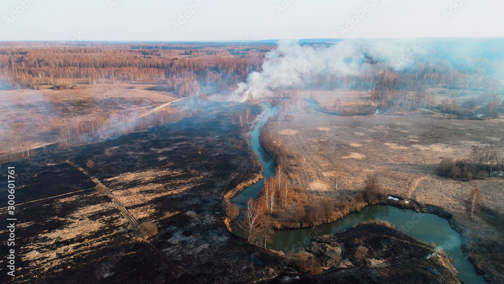 Fototapeta premium Little forest fire. A black burned field, a bush burns in the distance and there is a strong thick smoke.