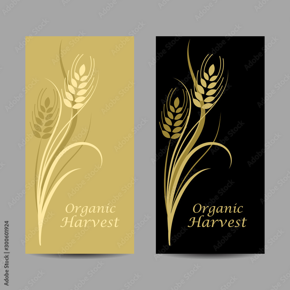 Set of vertical banners. Wheat spikelet on yellow and black background