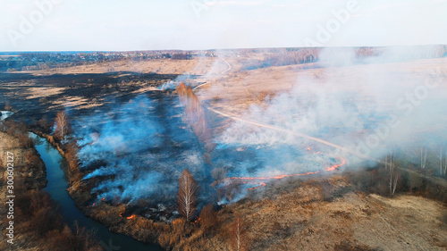 Strong fire in the forest. Fire spreads in a united front, strong smoke from the burning place.