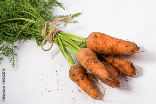 Carrot bunch with green leaves and stems on white background.