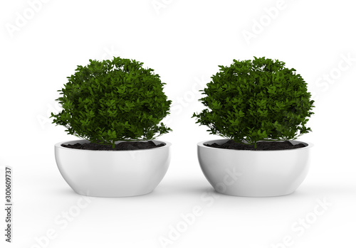 Blank ceramic plant pot mock up on isolated white background, 3d illustration