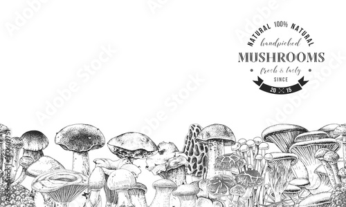 Seamless border with hand drawn edible mushrooms