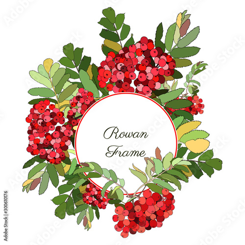 Round frame decorated with red rowan berries