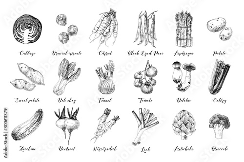 Hand drawn vegetables collection