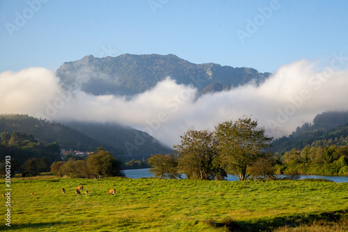 Wallpaper Mural Paisaje asturiano Torontodigital.ca