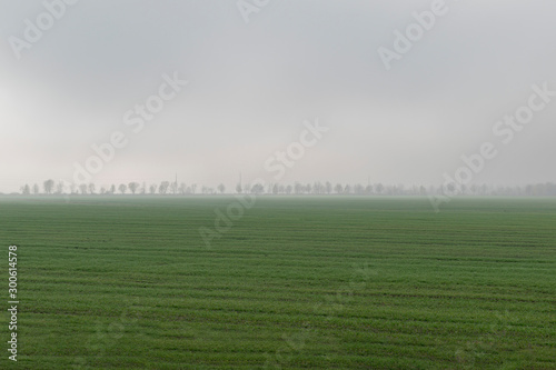 Morning landscape area in the fog