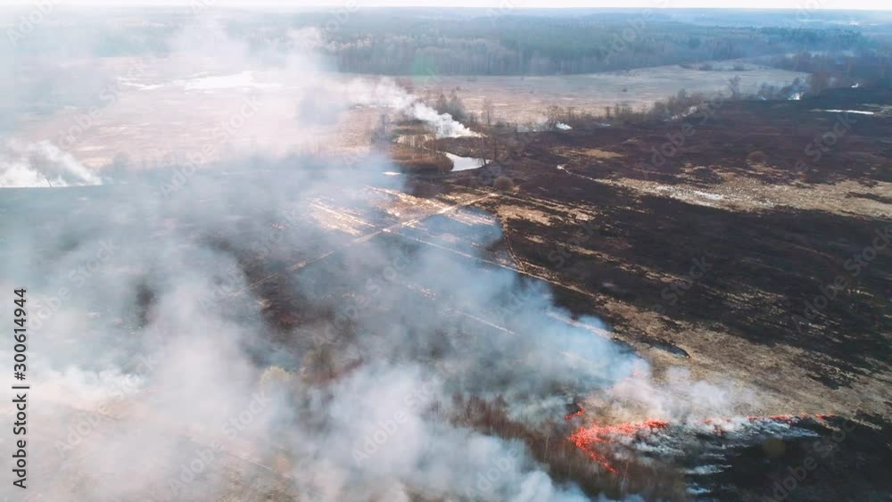Forest and field fire. Dry grass burns, natural disaster. Aerial view. Smooth flight over the place of fire, a small stream blocks the path to the fire. Forest and field fire. Dry grass burns, natural disaster. Aerial view. Smooth flight over the place of fire, a small stream blocks the path to the fire.