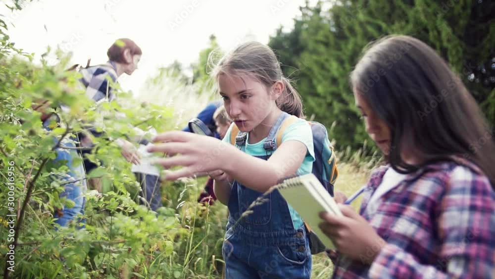 Group of school children with teacher on field trip in nature, learning science.