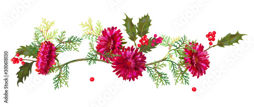 Panoramic view: red chrysanthemum (aster, daisy), holly berry, thuja (arborvitae). Horizontal border for Christmas: flowers, leaves, green twigs, cones on white background, watercolor style, vector