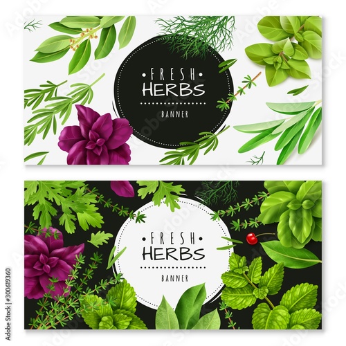 spices herbs horizontal banners