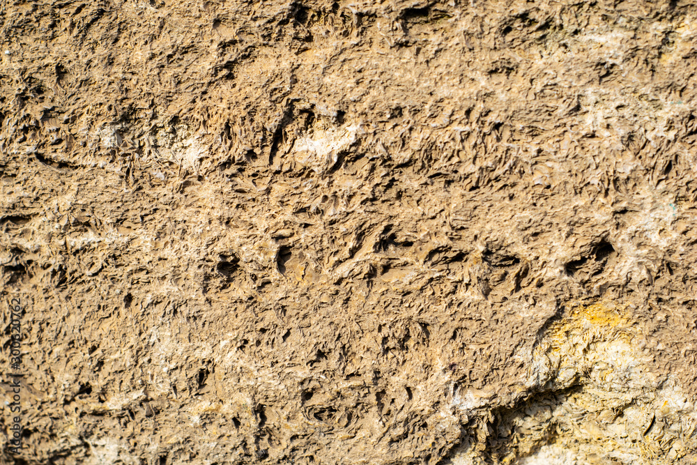 a old weathered shell stone surface background texture backdrop a old weathered shell stone surface background texture backdrop
