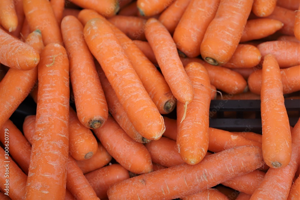 close-up of carrots on display at the market close-up of carrots on display at the market