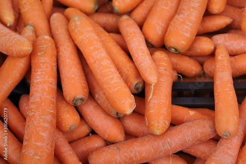close-up of carrots on display at the market