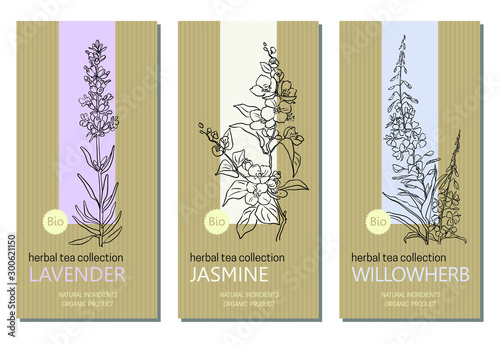 Vector set of herbal tea labels with herbs and plants sketches: jasmine, lavender and willow herb. Packaging template. Healthy food, bio, organic, natural product, herbal tea.