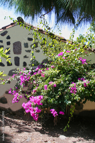 Country Side House with Flowers photo