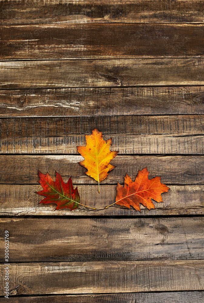 Obraz premium Autumn maple leaves on top view wooden table vertical frame.