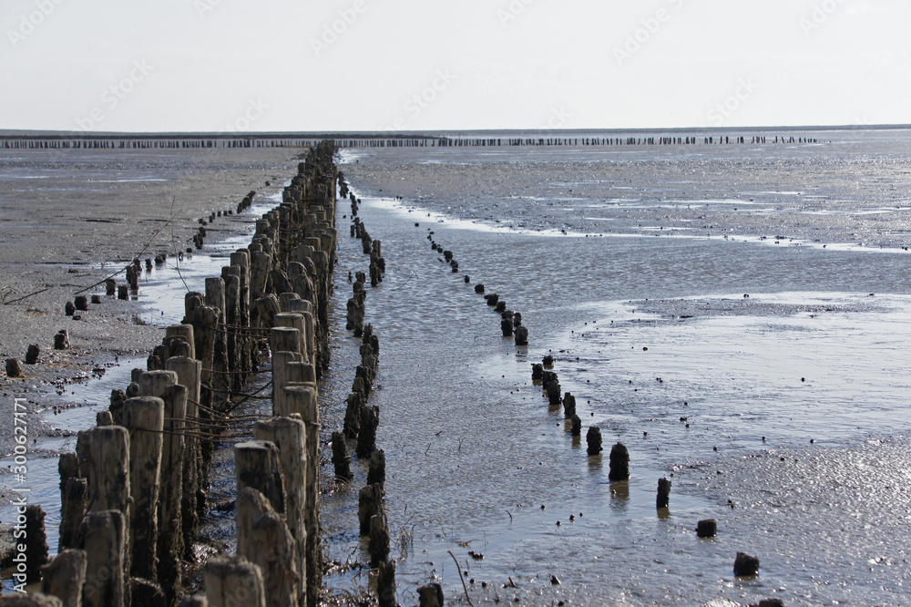 Fototapeta premium Buhnen im deutschen Wattenmeer bei Ebbe