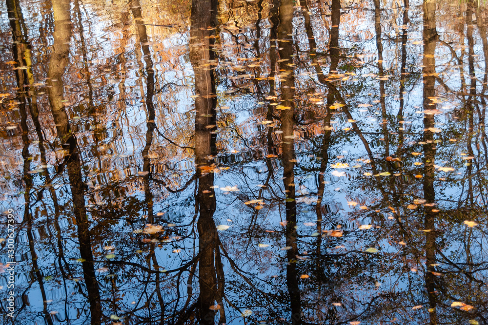 Fototapeta premium Zespół pałacowo-parkowy Lubomirskich, Białystok, Dojlidy, Podlasie