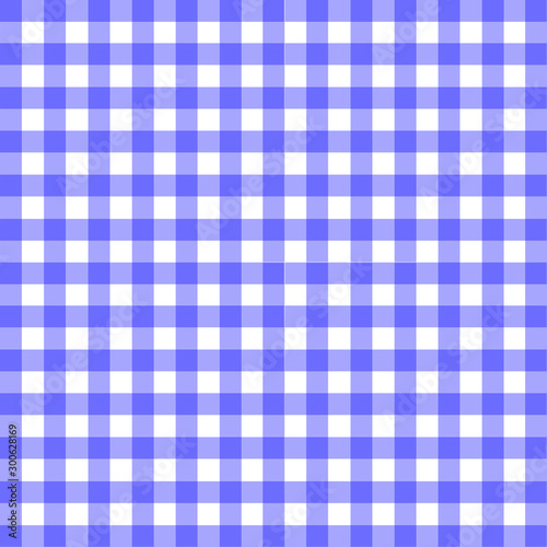 Gingham In Blue