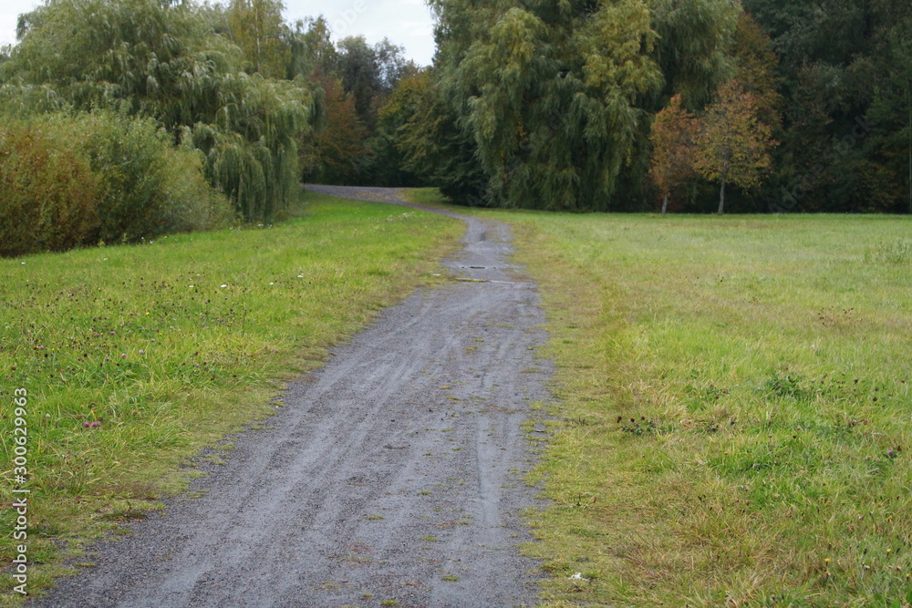 path in park